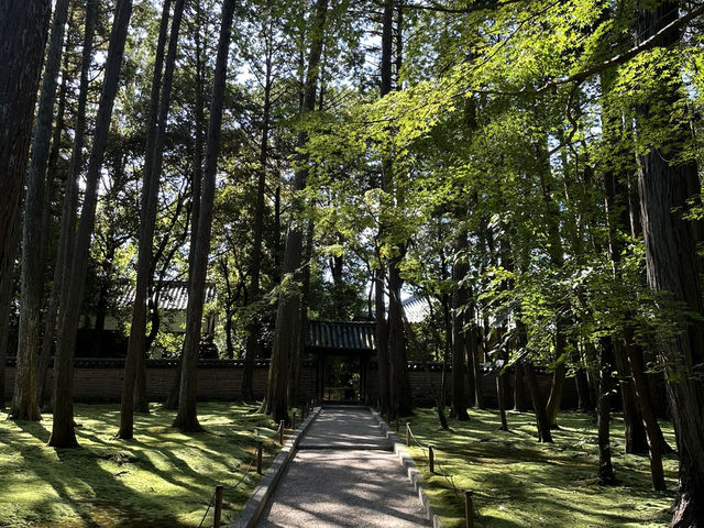 唐招提寺：探索奈良的佛教瑰寶，感受千年文化的深厚底蘊！