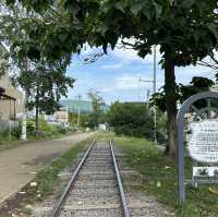 札幌小樽4日間| 女一人旅
