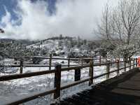 Snow Season in Yunnan  