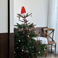 Mistletoe Flour Thyme – Pattaya 