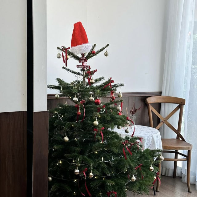 Mistletoe Flour Thyme – Pattaya 