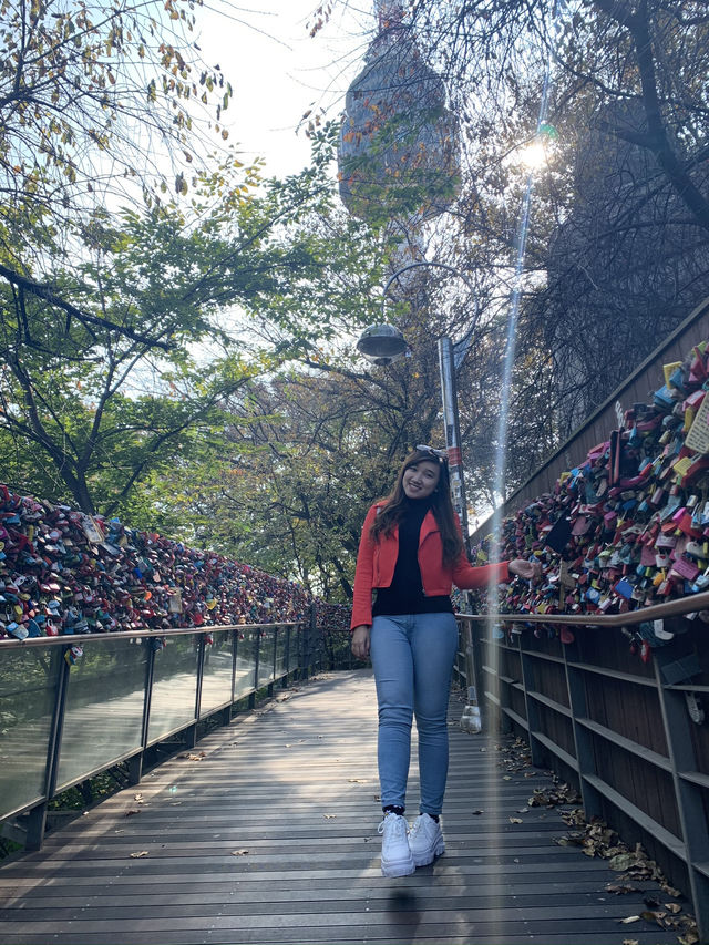 ✨ Touching the Sky at N Seoul Tower ✨