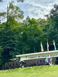 UNESCO Views from Above: Forest Skywalk at FRIM Takes You to New Heights!