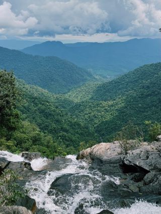 In the Heart of Vietnam’s Jungle