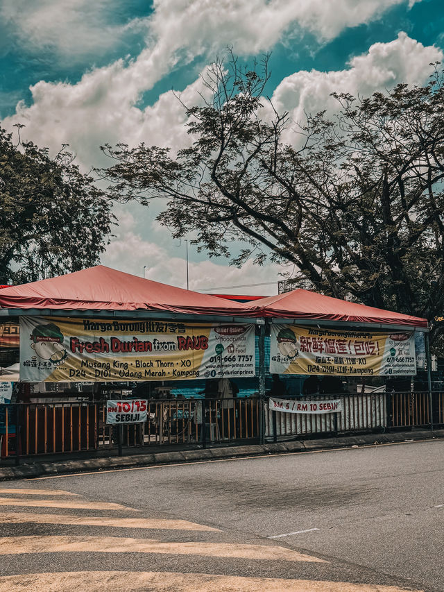 King of Fruits Gem – Durian Prince @ Bandar Menjalara Kepong 