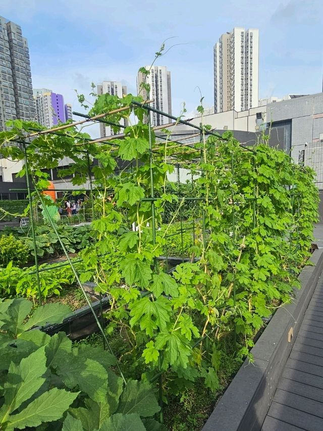 喺繁華嘅石屎森林中,有機會走入大自然,絕對可以令人身心放鬆