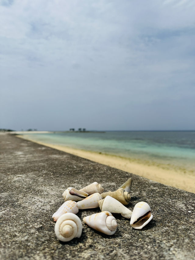 Peaceful Escape in Northern Okinawa - Bise Village & Emerald Beach