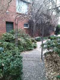 🪴The Beautiful Garden🪴