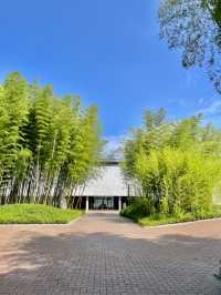대나무의 모든 것🌿 담양 한국대나무박물관(A.K.A. Bamboo Museum) 