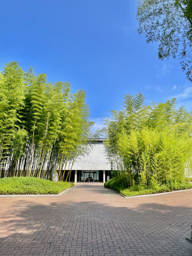 대나무의 모든 것🌿 담양 한국대나무박물관(A.K.A. Bamboo Museum) 