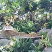Dino Dreams Come Alive: Jurassic World at Gardens by the Bay 🇸🇬