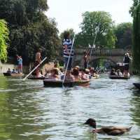 🛶 Punting on the River Cam