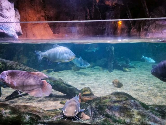 Exploring SEA LIFE