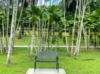 A Breath of Green at Perdana Botanical Garden