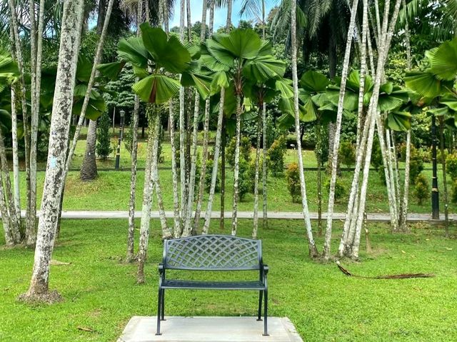A Breath of Green at Perdana Botanical Garden