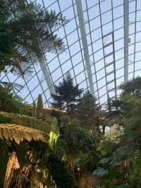 🌿 Cloud Forest — Singapore’s Climate-Controlled Paradise