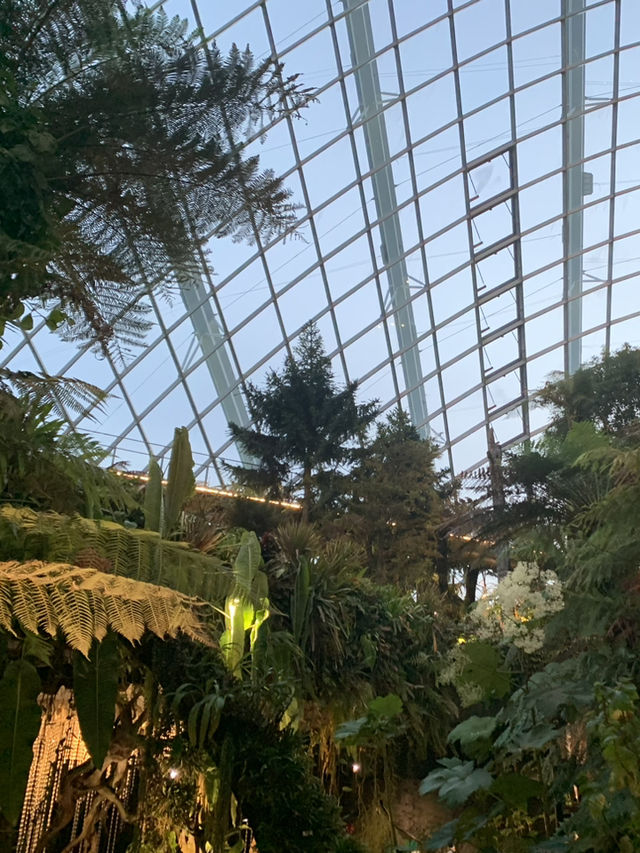 🌿 Cloud Forest — Singapore’s Climate-Controlled Paradise