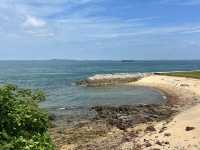 Why is Singapore's "Restricted" Island So Popular? 🏝️🔒