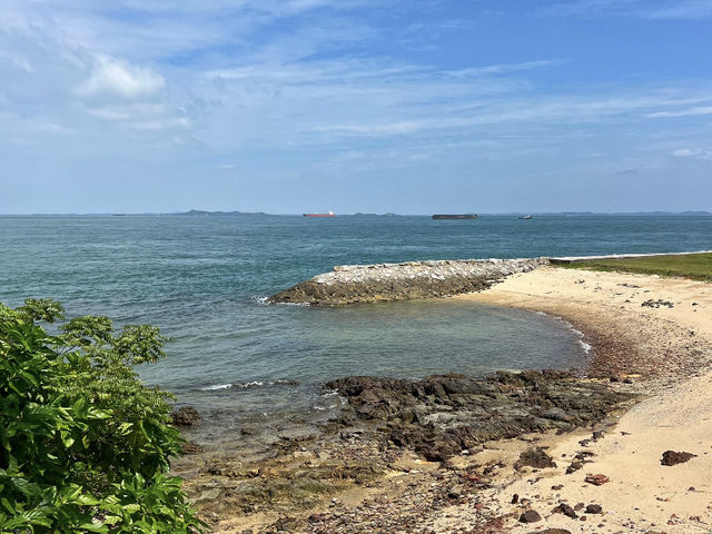 Why is Singapore's "Restricted" Island So Popular? 🏝️🔒