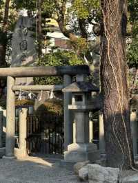 🏯🇯🇵日本大阪必去景點（二） 大阪難波八坂神社