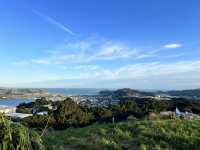 🏞️ Mount Victoria Lookout｜Wellington 城市與海港的天然畫框