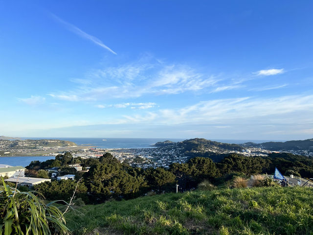 🏞️ Mount Victoria Lookout｜Wellington 城市與海港的天然畫框