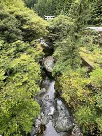 日本四國之旅 道後溫泉 島波海道 松山城