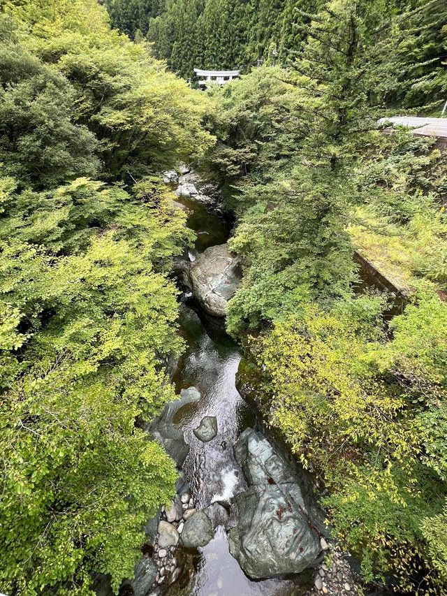 日本四國之旅 道後溫泉 島波海道 松山城