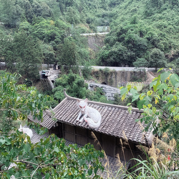 天門山国家森林公園 | Trip.com 張家界