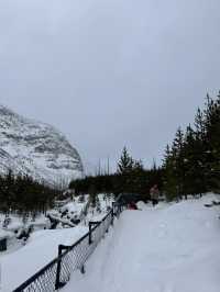 무더위를 이겨내기! 여름에 다시보는 겨울의 BANFF 🏔️