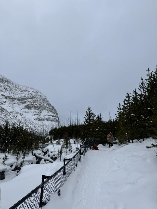 무더위를 이겨내기! 여름에 다시보는 겨울의 BANFF 🏔️