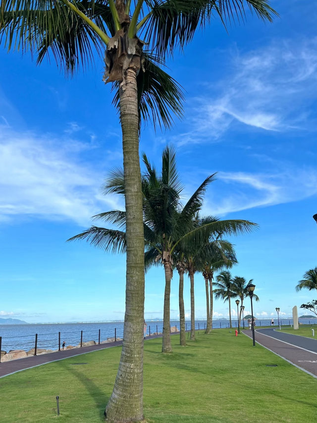 Yeli Island 🏝️ 