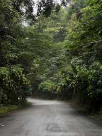 evokes serenity and timelessness