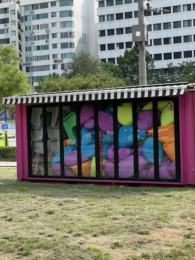 여의도 한강공원의 여름 오후