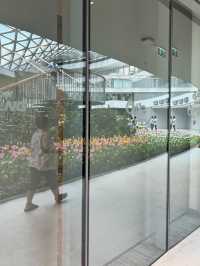 ชมสวนทิวลิปที่ Miracle of Natural ฉบับปี 2025 
