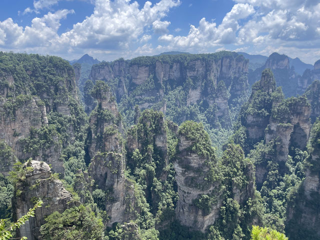 Day trip in zhangjiajie