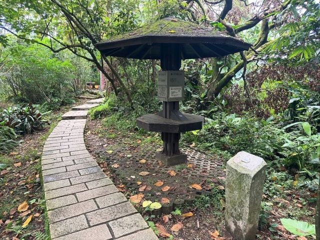 Quick Escape to Jingmei Mountain
