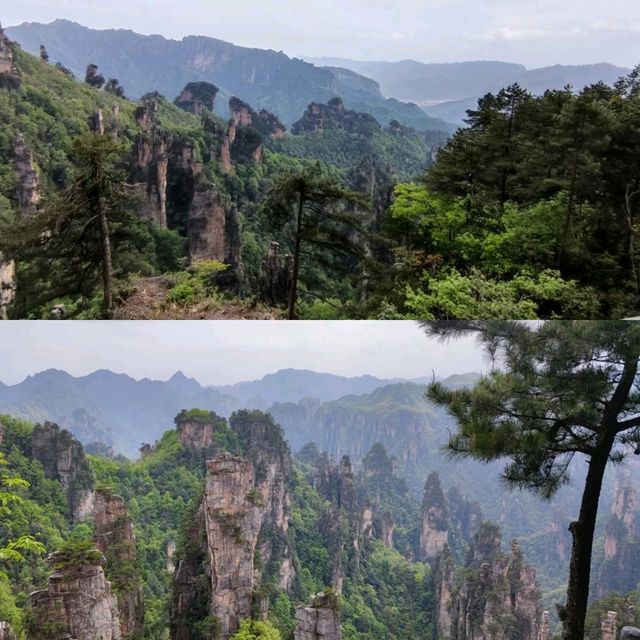 Into the Real-Life Avatar Mountains: A Zhangjiajie Adventure