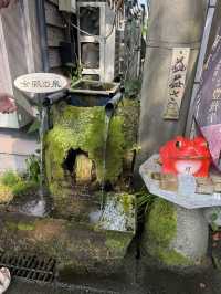  💧 阿蘇門前町・水基巡りとグルメ散策スナップ