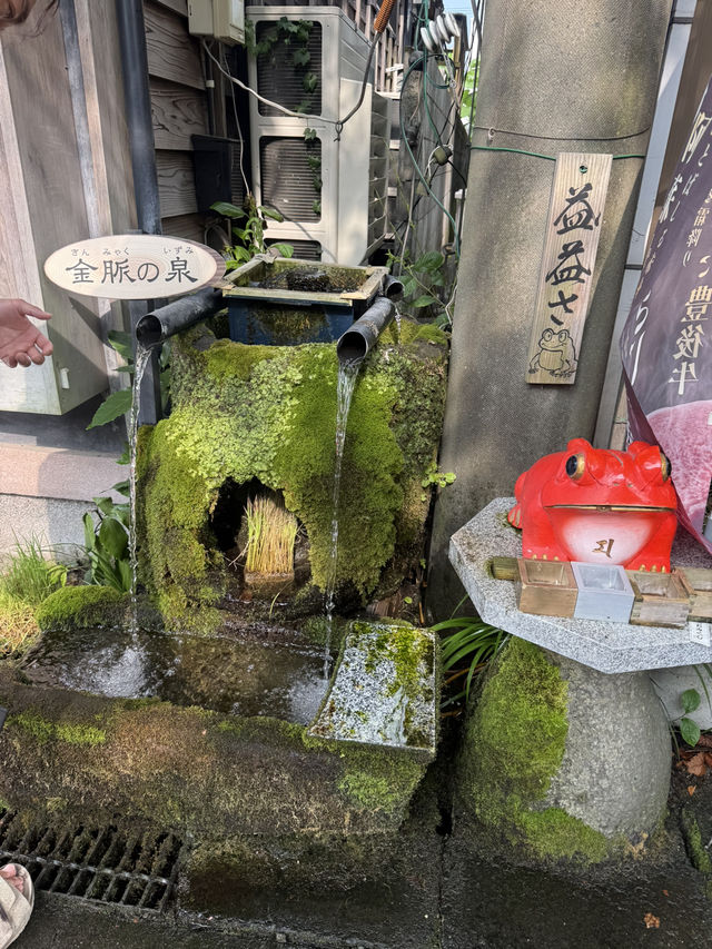  💧 阿蘇門前町・水基巡りとグルメ散策スナップ