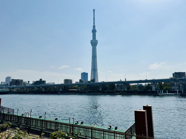 全方位視角:晴空塔的日夜、遠近與高空之美  全方位視角:晴空塔的日夜、遠近與高空之美