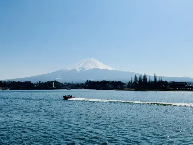 在富士山腳下泛舟:河口湖遊湖船的晴日絕景