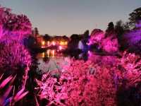 🎆Lightscape Part 1🎆