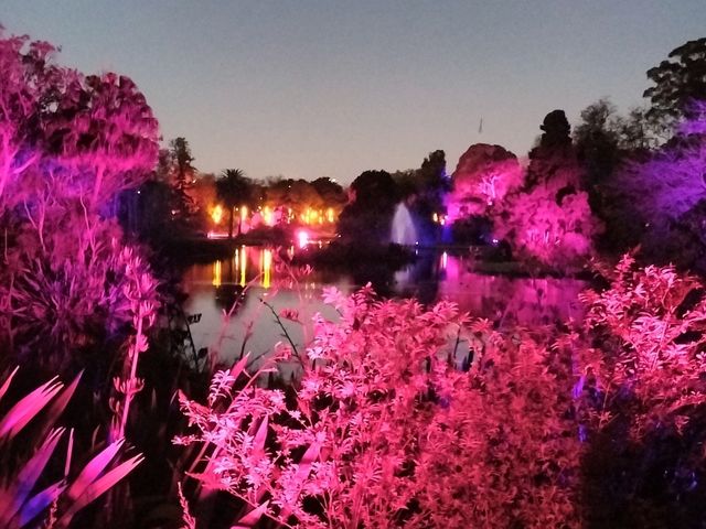 🎆Lightscape Part 1🎆
