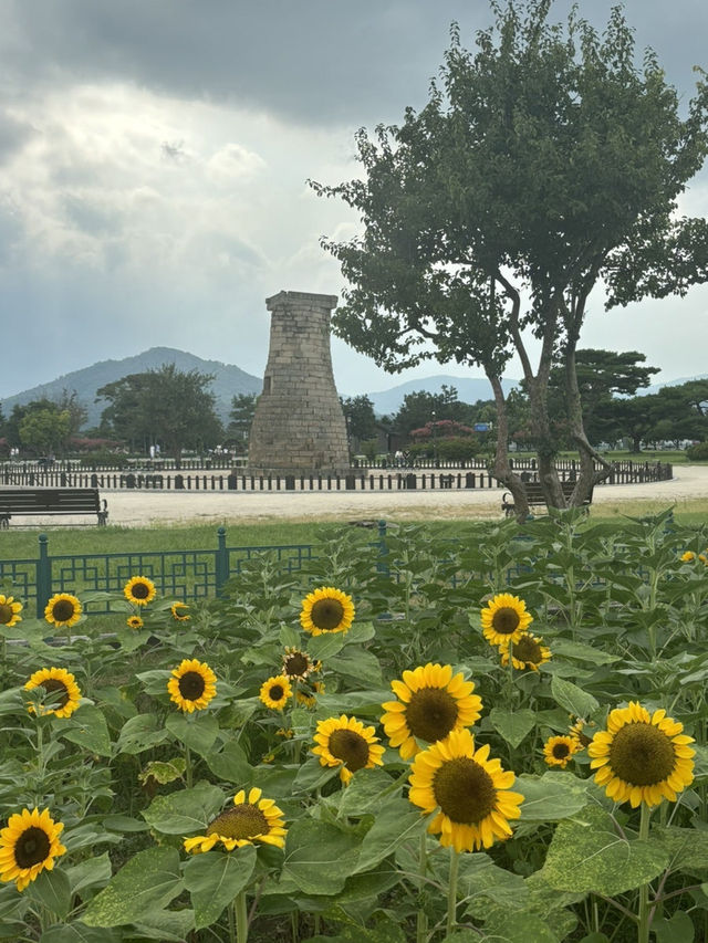 경주 국내여행 