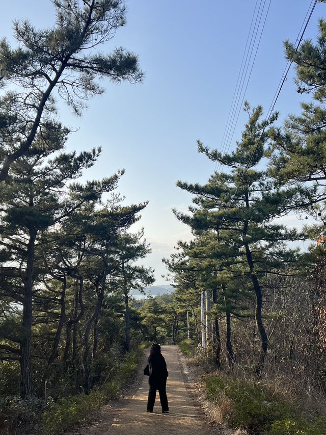 🚡 มกโพเคเบิลคาร์ (묵포 케이블카) 🚡