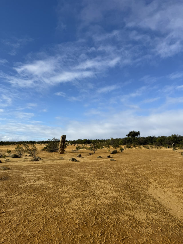 パース🇦🇺 ピナクルズ砂漠🏜️ パース🇦🇺 ピナクルズ砂漠🏜️