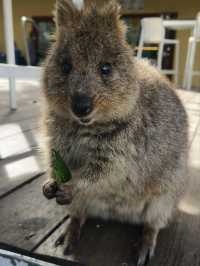 Perth, the way i like it