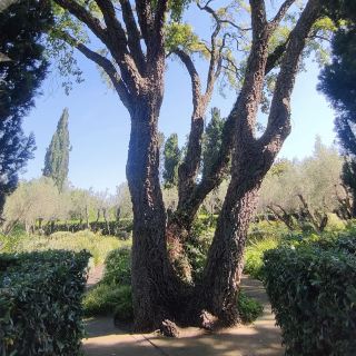 ランドリアーナ庭園（アルデーア）