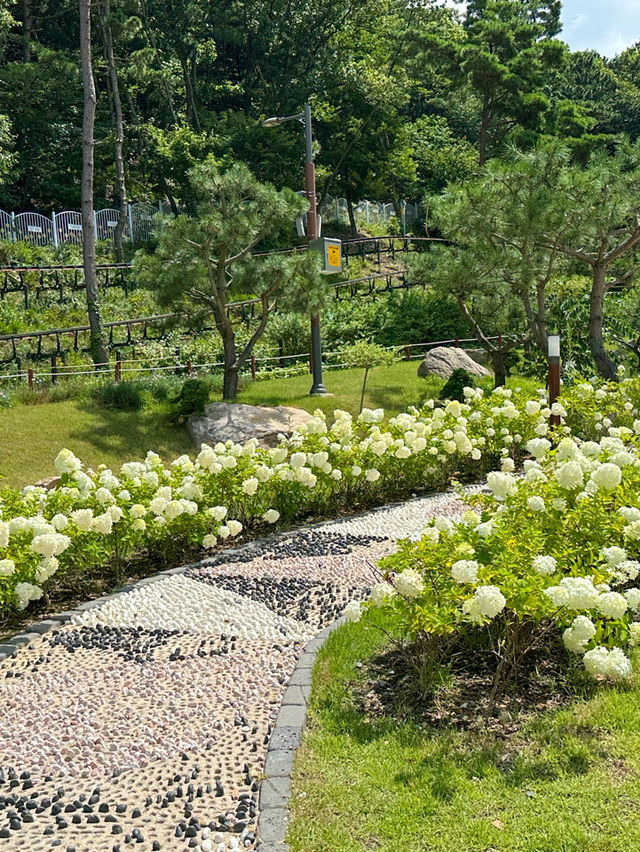 여름의 싱그러움을 한껏 느낄 수 있는 강화도 교동도 화개정원 🍀  여름의 싱그러움을 한껏 느낄 수 있는 강화도 교동도 화개정원 🍀